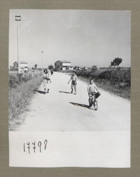 ARSIAL/ARS00174F8F.jpg