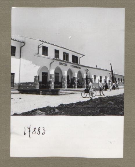ARSIAL/ARS00174F98.jpg