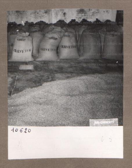 ARSIAL/ARS00174F9D.jpg