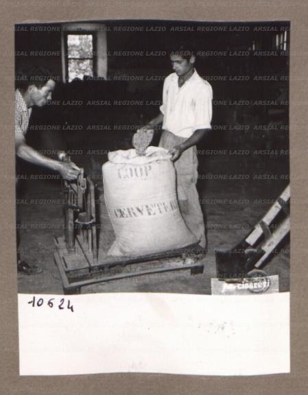 ARSIAL/ARS00174FA4.jpg