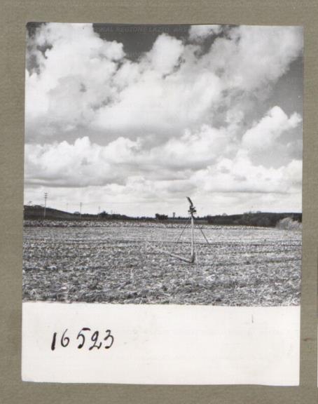 ARSIAL/ARS00174FAE.jpg
