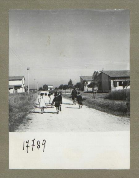ARSIAL/ARS00174FB6.jpg