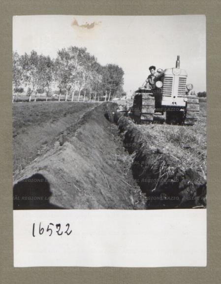 ARSIAL/ARS00174FBD.jpg