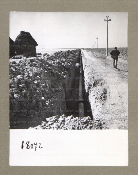ARSIAL/ARS00174FCC.jpg