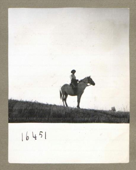 ARSIAL/ARS00174FD4.jpg