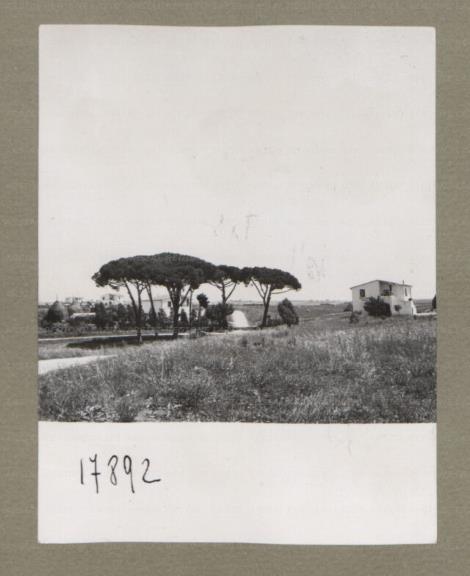 ARSIAL/ARS00174FE2.jpg
