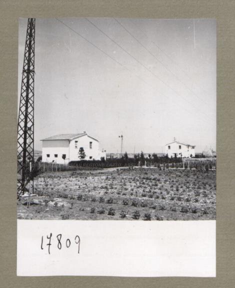 ARSIAL/ARS00174FE3.jpg