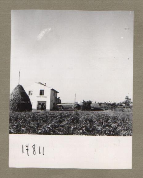 ARSIAL/ARS00174FE8.jpg