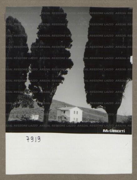 ARSIAL/ARS00175021.jpg