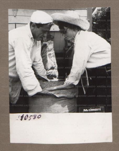 ARSIAL/ARS00175044.jpg