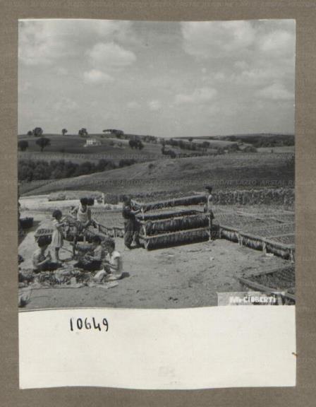 ARSIAL/ARS0017505B.jpg