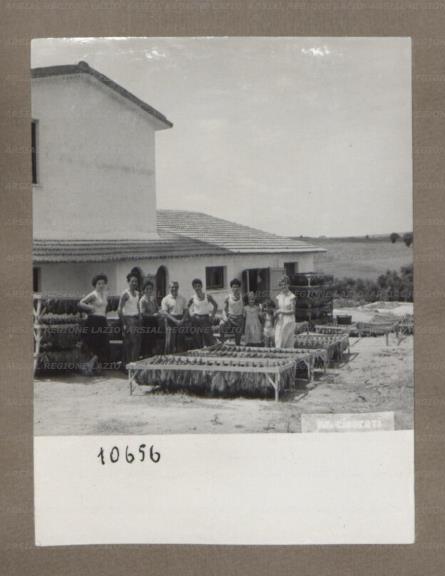 ARSIAL/ARS0017509D.jpg