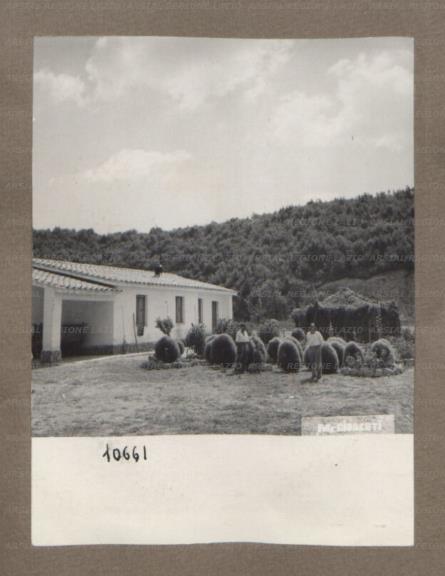ARSIAL/ARS001750C0.jpg