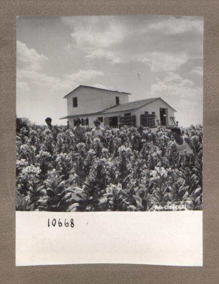ARSIAL/ARS001750C7.jpg