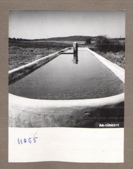 ARSIAL/ARS00175199.jpg
