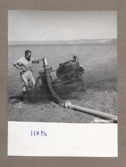 ARSIAL/ARS00175236.jpg