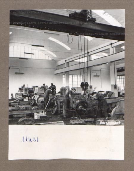 ARSIAL/ARS00175279.jpg