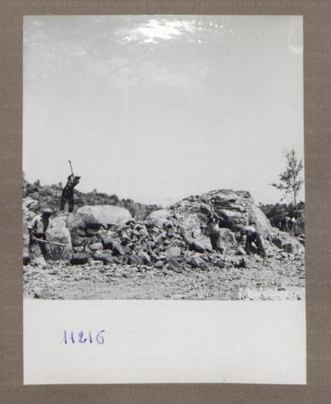 ARSIAL/ARS00175284.jpg