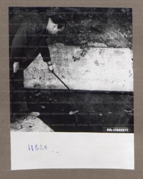 ARSIAL/ARS00175291.jpg