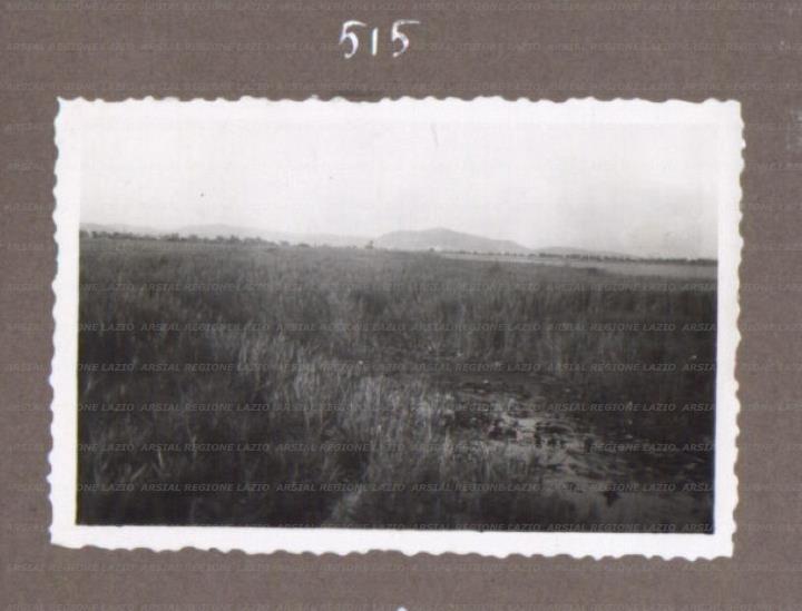 ARSIAL/ARS0017529E.jpg