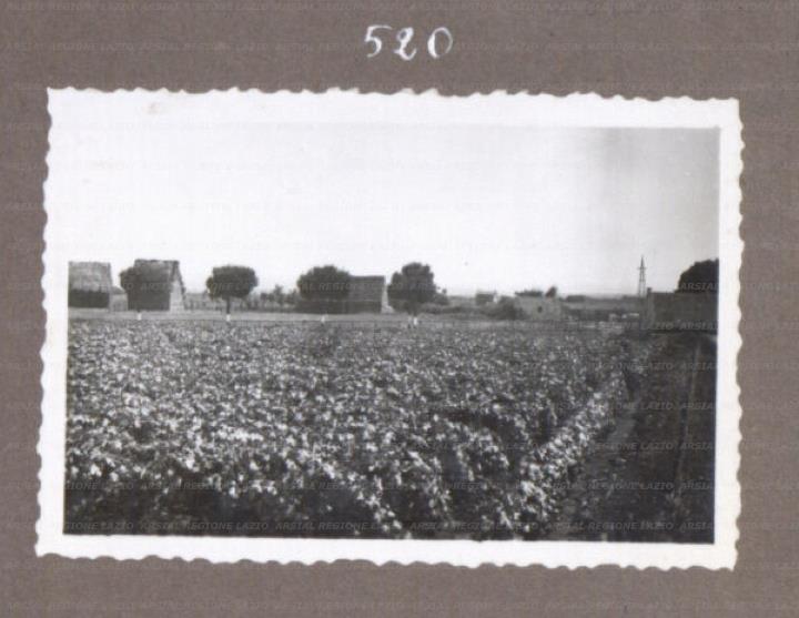 ARSIAL/ARS001752A3.jpg