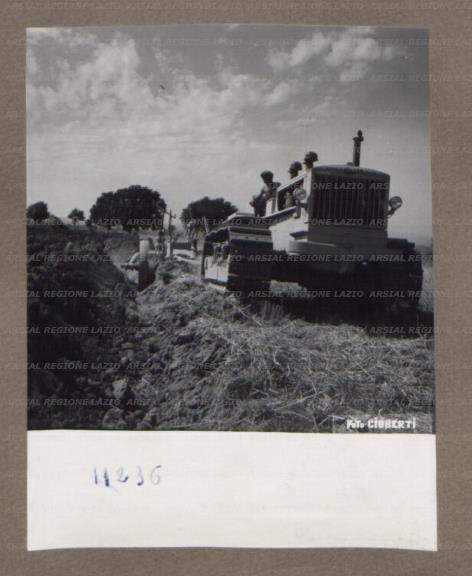 ARSIAL/ARS001752C9.jpg