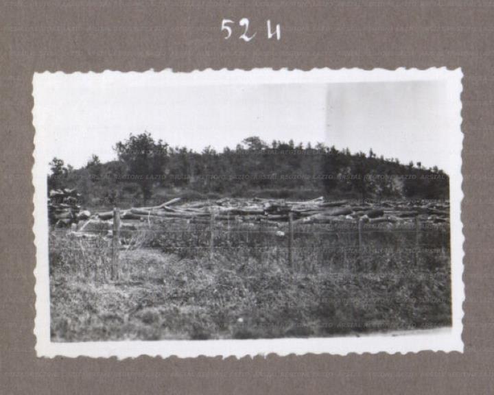 ARSIAL/ARS001752E0.jpg