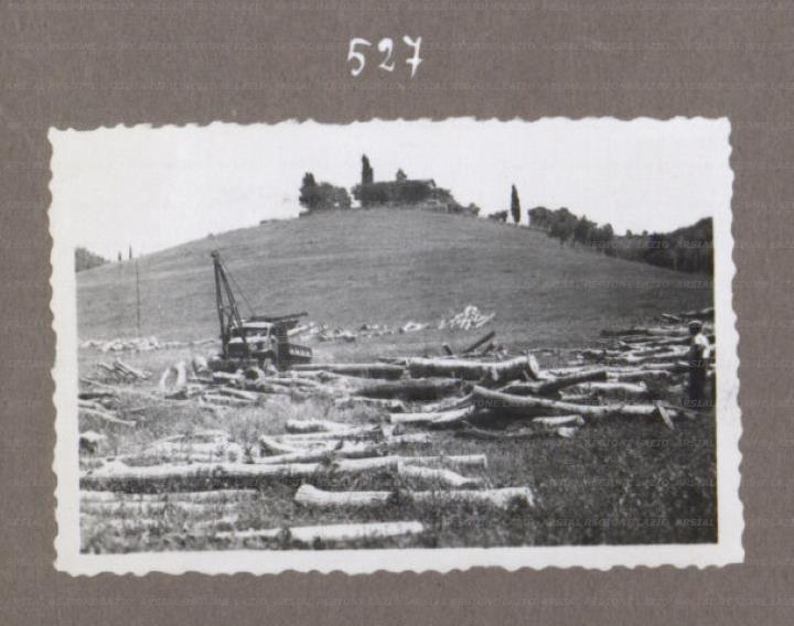 ARSIAL/ARS001752E6.jpg