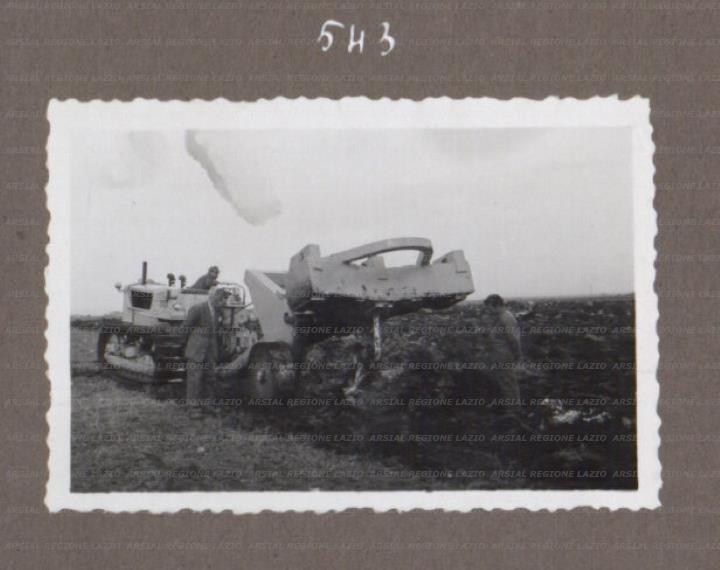 ARSIAL/ARS0017532E.jpg