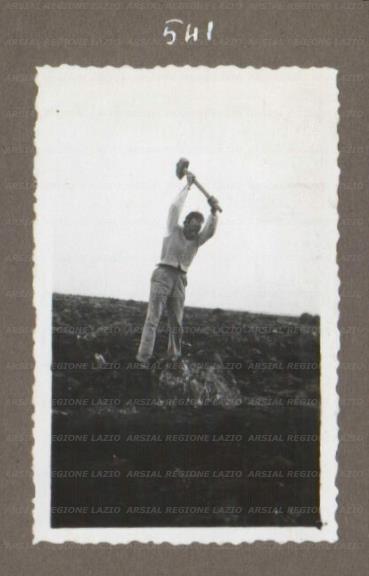 ARSIAL/ARS00175336.jpg