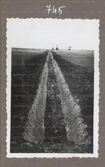 ARSIAL/ARS0017534E.jpg