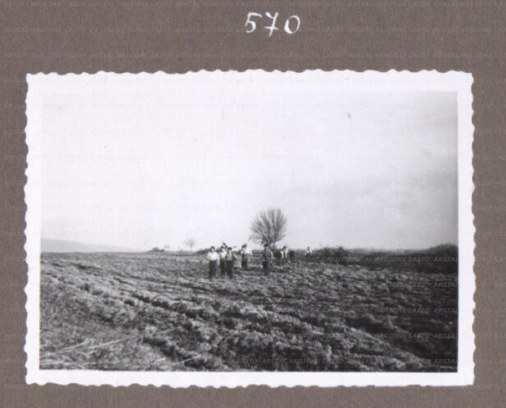 ARSIAL/ARS0017536E.jpg
