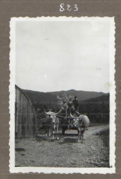 ARSIAL/ARS001753D5.jpg