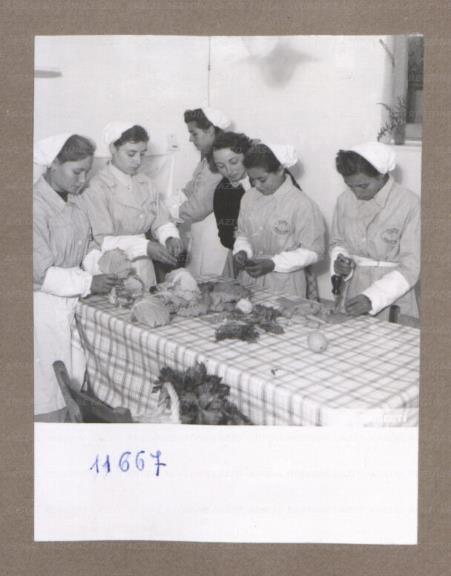 ARSIAL/ARS001753EA.jpg