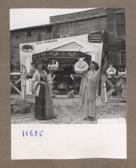 ARSIAL/ARS001753ED.jpg
