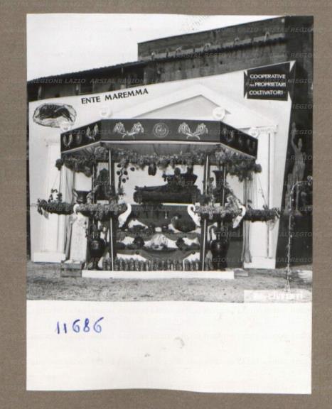 ARSIAL/ARS001753EE.jpg