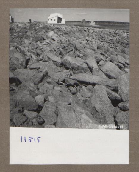 ARSIAL/ARS001753EF.jpg