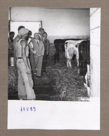ARSIAL/ARS001753FA.jpg