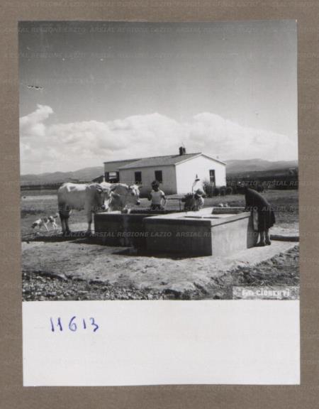 ARSIAL/ARS00175410.jpg