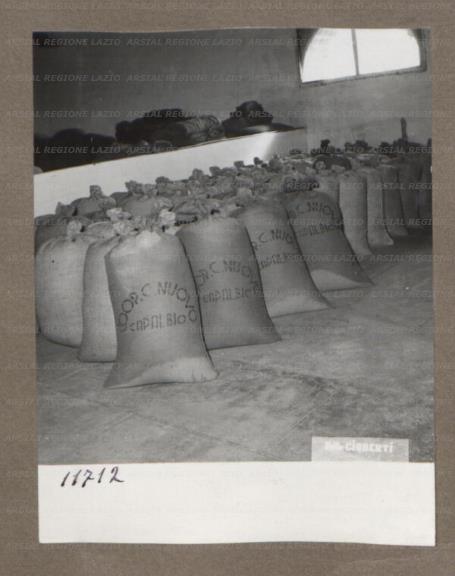 ARSIAL/ARS0017544E.jpg