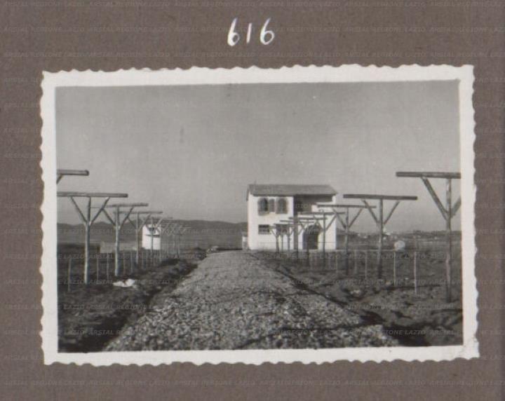 ARSIAL/ARS001754DE.jpg