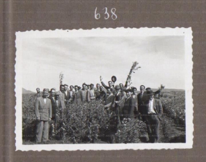 ARSIAL/ARS001754F7.jpg