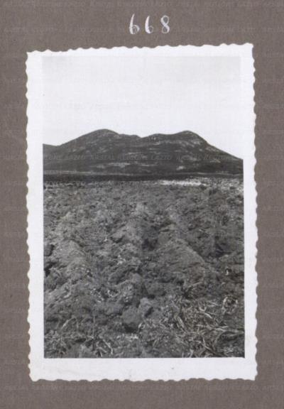ARSIAL/ARS0017553E.jpg