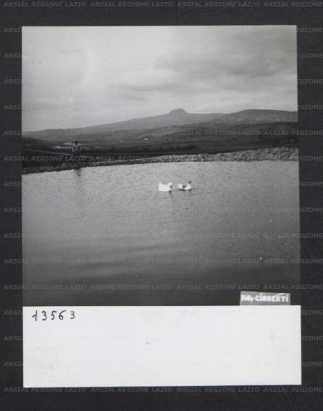ARSIAL/ARS001755A8.jpg
