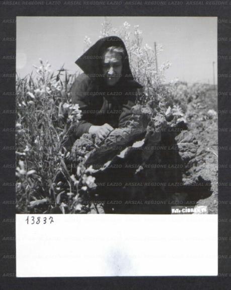 ARSIAL/ARS001755C0.jpg