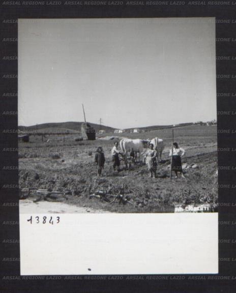 ARSIAL/ARS001755C7.jpg