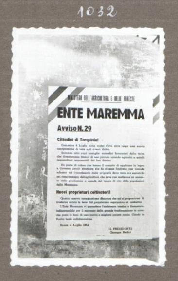 ARSIAL/ARS001755DC.jpg