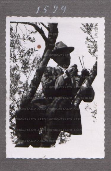 ARSIAL/ARS00175659.jpg