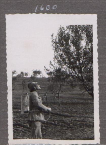 ARSIAL/ARS0017565C.jpg