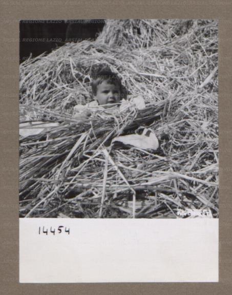 ARSIAL/ARS00175685.jpg